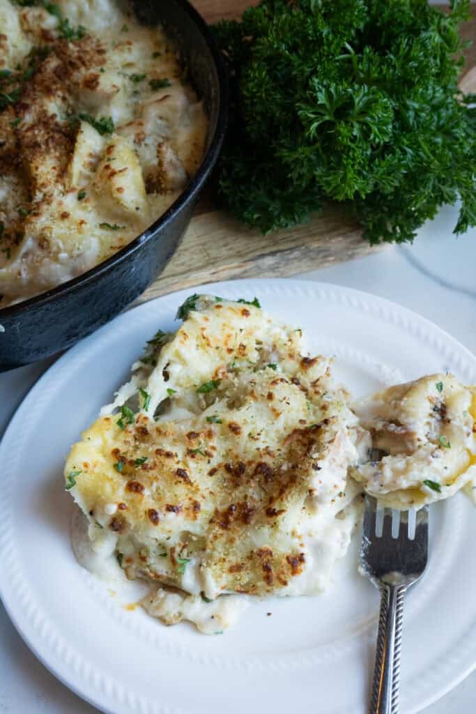 Grilled chicken alfredo casserole.