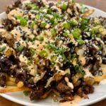Bulgogi Loaded Fries