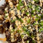Bulgogi Loaded Fries