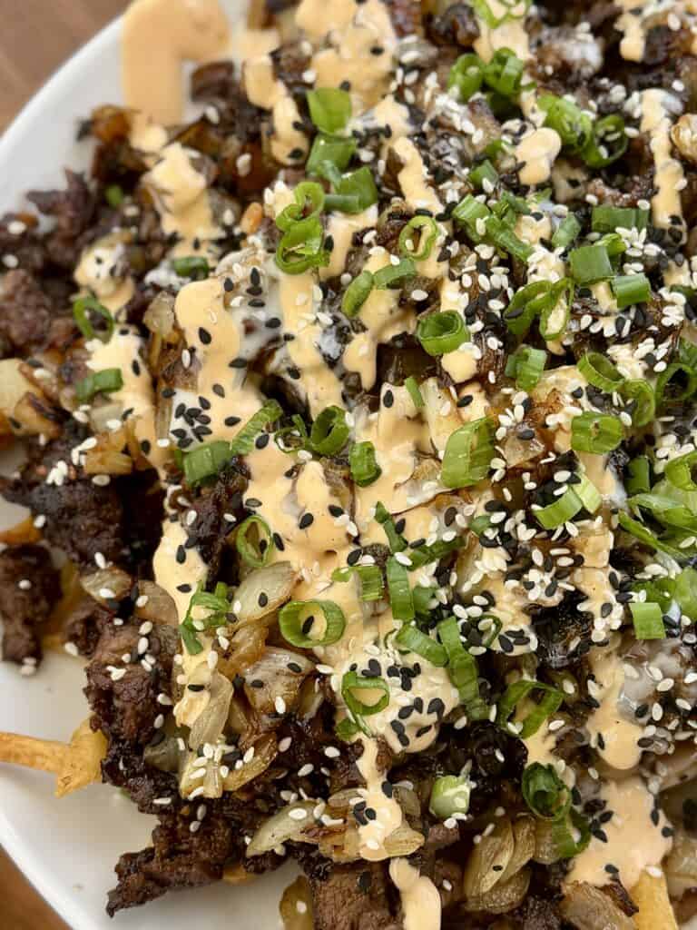 Bulgogi Loaded Fries