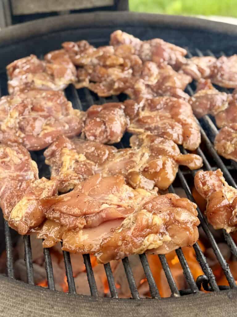 Place chicken thighs on hot grill.