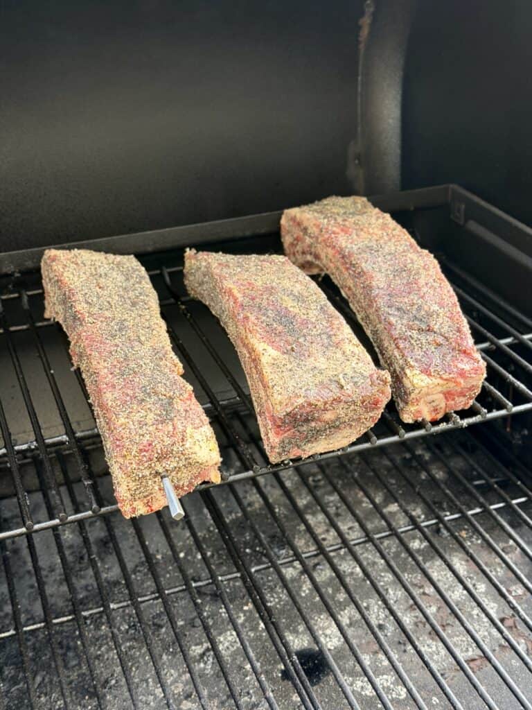 Smoked Beef Rib Sandwich Chimichurri Beef Ribs on Smoker.