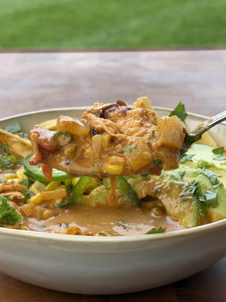 Grilled Chicken Enchilada Soup.