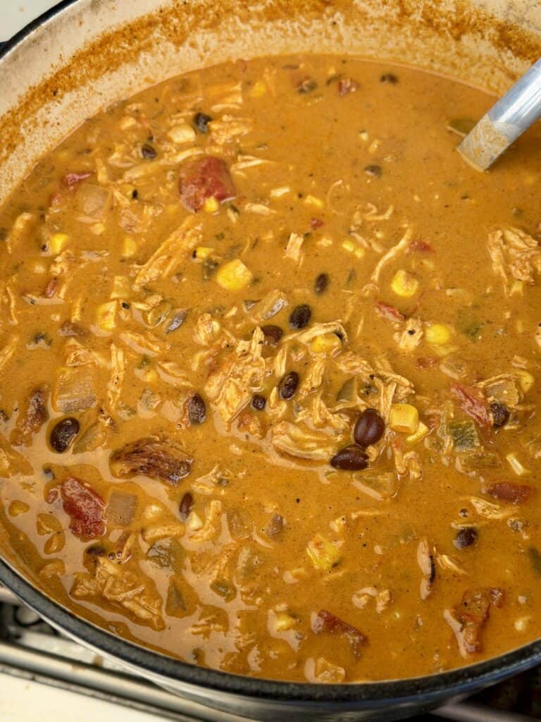 Grilled Chicken Enchilada Soup.