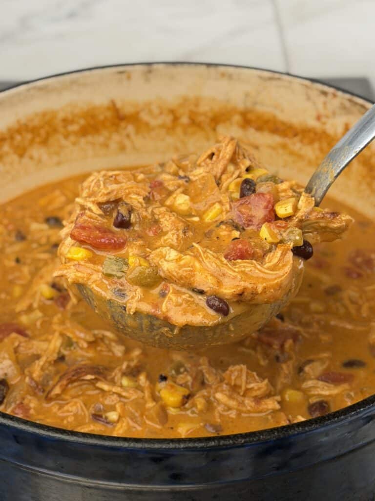 Grilled Chicken Enchilada Soup.